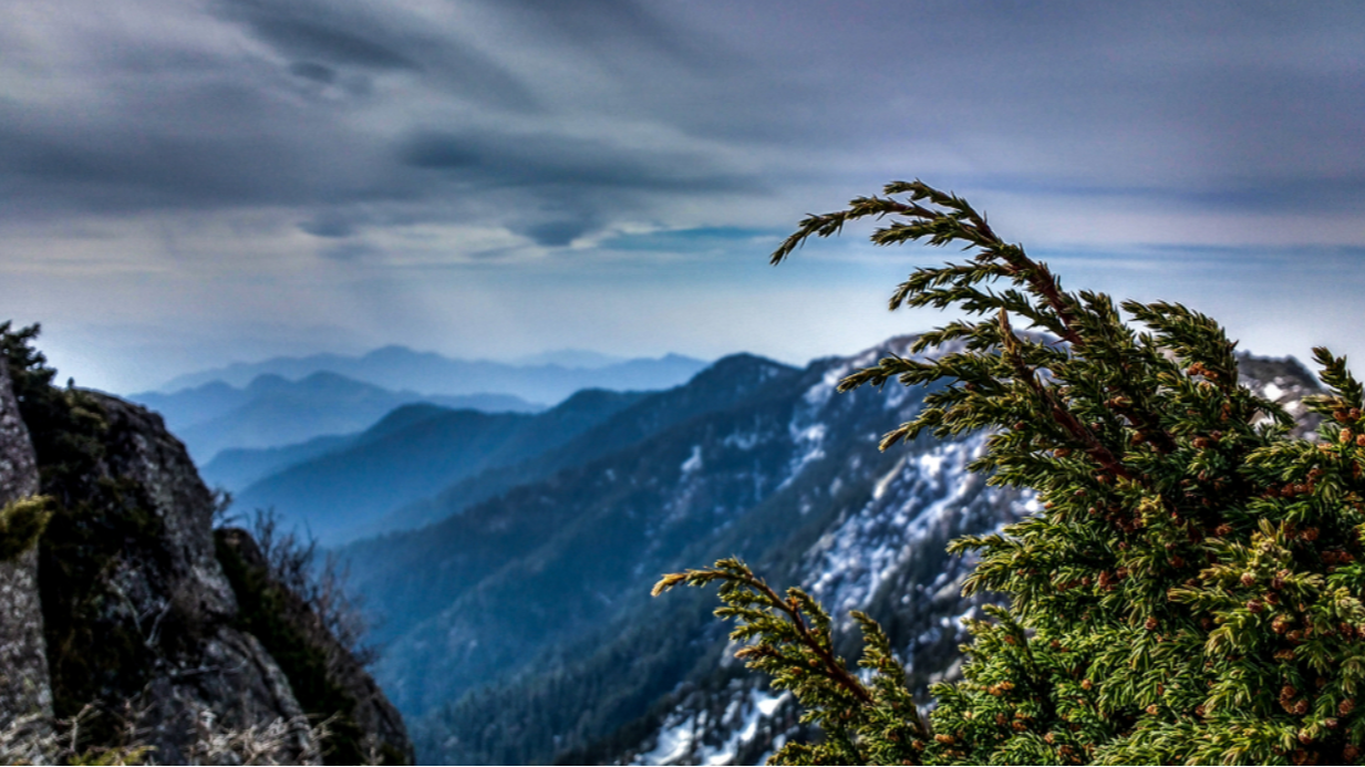 Churdhar Trek: A Stunning and Remarkable Himalayan Trek