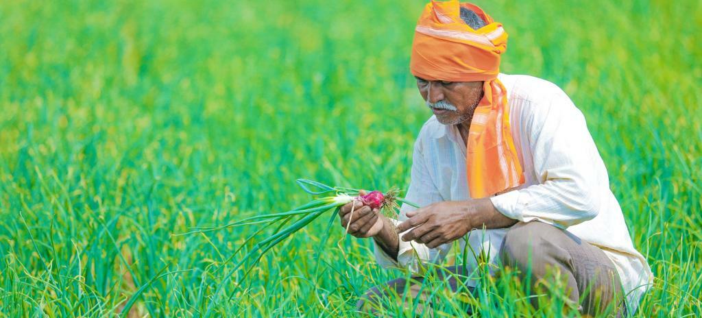 Farmers in India – किसान का महत्व और भूमिका