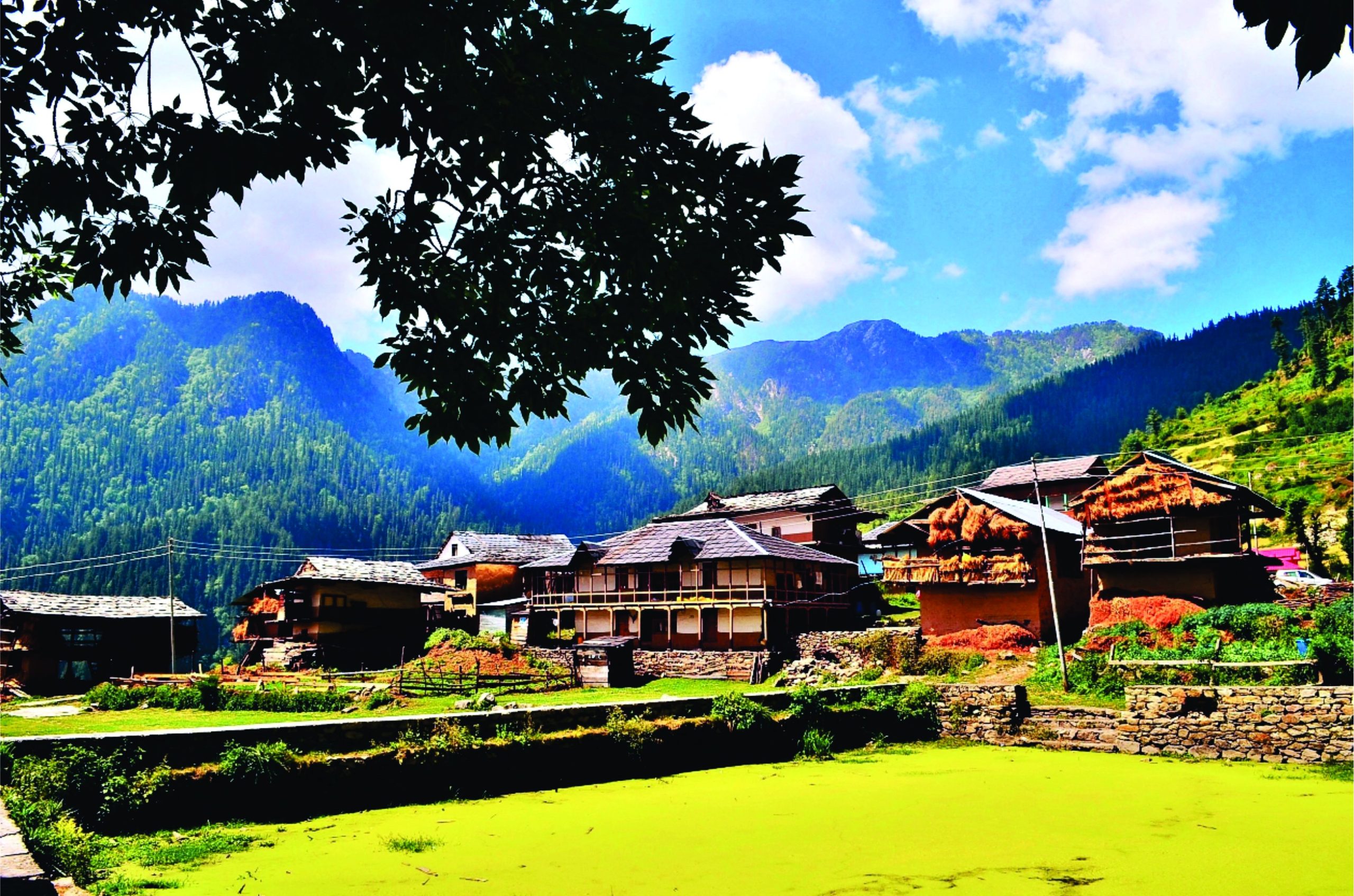 Jibhi: “Where Nature’s Beauty Unfolds”