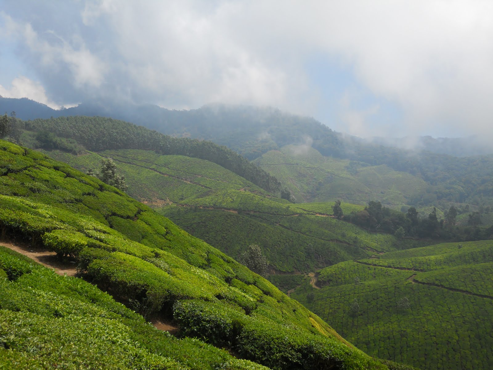Una: Exploring the Unseen Beauty of Himachal Pradesh