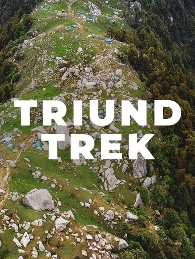 Triund: Where Every Step Leads to Spectacular View