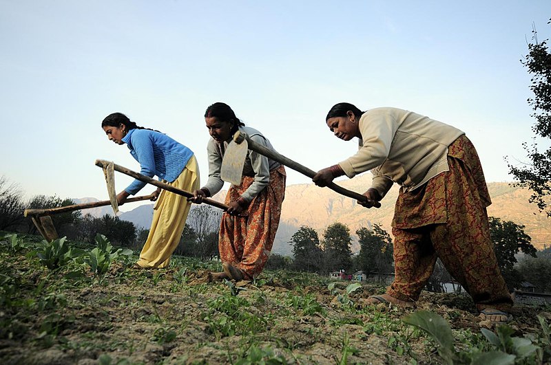 Organic Farming in Himachal Pradesh