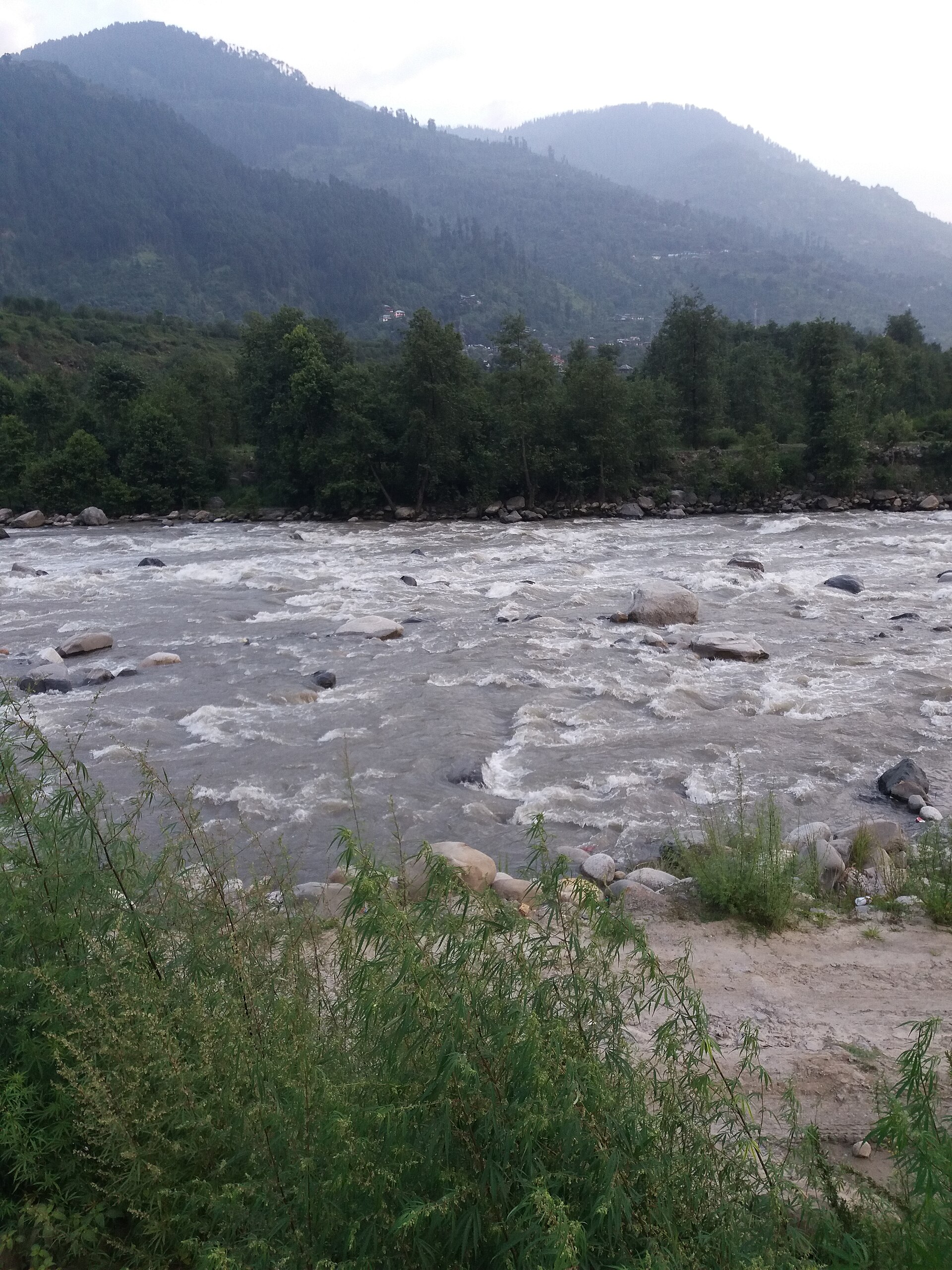 Heavy rain warning issued for Kullu and Mandi districts