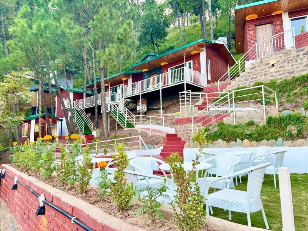 Kasauli Pine Hill Cottages I Kasauli